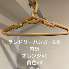 洗濯ハンガー×24