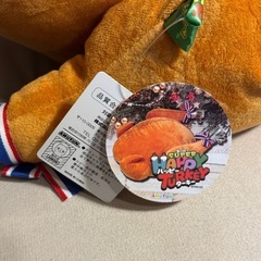 おおきなチキンのぬいぐるみ🐔の画像