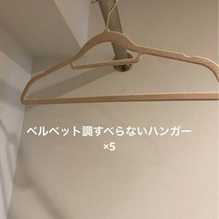 ベルベット調すべらないハンガー×5