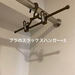 プラ&金属製スラックスハンガー×10