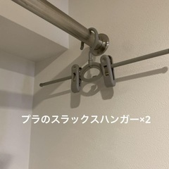 プラ&金属製スラックスハンガー×10の画像