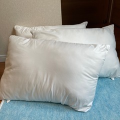 商談中　ニトリ　防ダニ枕　3個 の画像