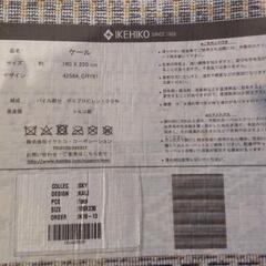 イケヒコ　ウィルトン織ラグ　160✕230の画像