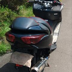 フォルツァZ・SP　MF08　走行17500km　(No.2376)の画像