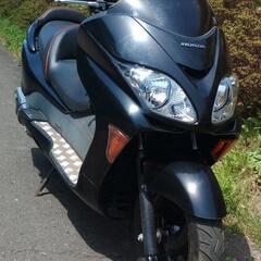 フォルツァZ・SP　MF08　走行17500km　(No.2376)の画像