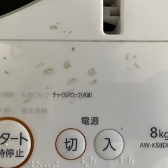  洗濯機
AW-KS8D8Wの画像