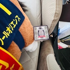 競馬グッズ　ぬいぐるみ　2体セットの画像
