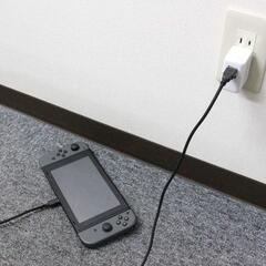 Nintendo Switch 用 Type-C ストレートケーブル 0.8mの画像