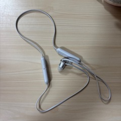 SONY ワイヤレスイヤホン