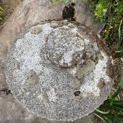 灯篭　庭石の画像