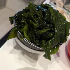 とれたてわかめ、大量の画像