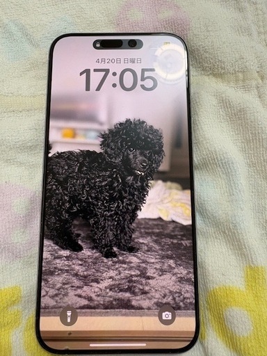 iPhone15promax 256gb ホワイトチタニウム (タッチ~) 徳庵の iPhone15promax 256gb ホワイトチタニウム (タッチ~) 徳庵の