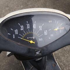 HONDA　ディオ50の画像