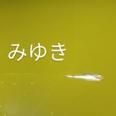 人気の！みゆきフルボディーめだか⑩❣️針子抜け〜稚魚💞