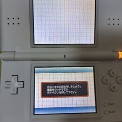ニンテンドーDSLite