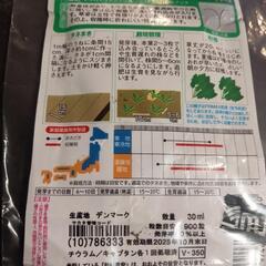 ほうれん草　種の画像