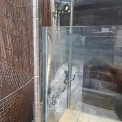 水槽の画像