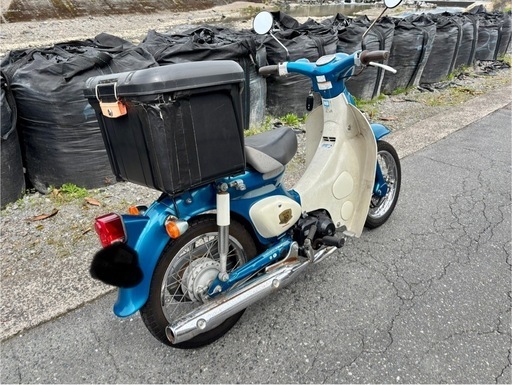 50周年 リトルカブ