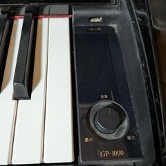 カシオ Gp-1000の画像
