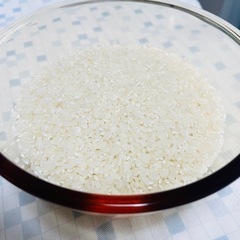 古々米 約11kg