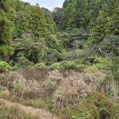★★ 1681坪の広大な敷地で山籠もり生活 ★★ − 千葉県