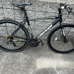 オオトモ　アテナの画像