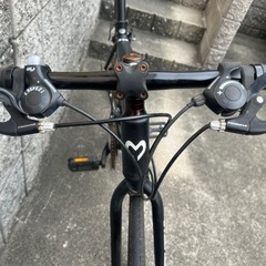 オオトモ　アテナの画像