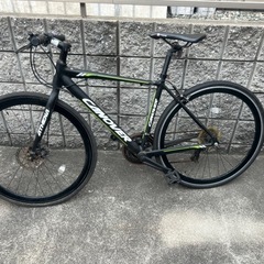 オオトモ　アテナの画像