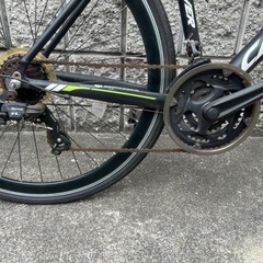 オオトモ　アテナの画像