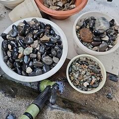 玉石 川石 砂利 小石もらってください