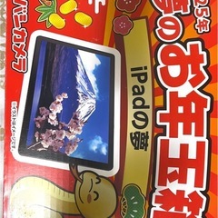 iPad