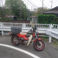 上級者向け Fダブルディスク Rディスク スーパーカブ