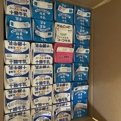 牛乳パック　24本セット