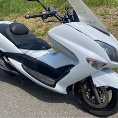マジェスティ250  実働車の画像