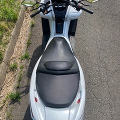 マジェスティ250  実働車の画像