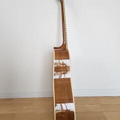 アコースティックギター　HONEYBEEの画像