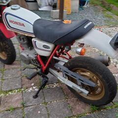 ホンダ　エイプの画像
