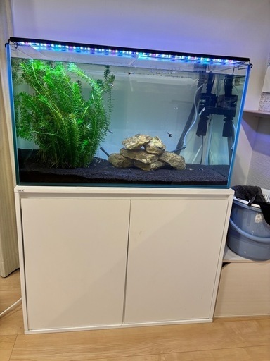 90cm水槽(15000 → 9800円)