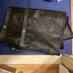 シート