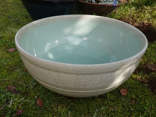 信楽焼 睡蓮鉢 メダカ鉢 おしゃれ めだか鉢 陶器 水鉢