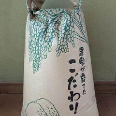 受付終了◆R6 彩のかがやき 10kg◆最新式 光選別機導入◆令...