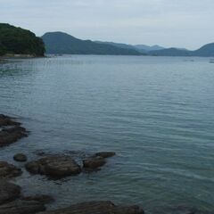 知多半島　エギングメンバー募集（愛知県内在住者限定）