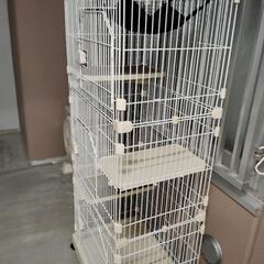 猫ゲージ3段（最終）の画像