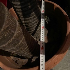 フェイクプラント　人工観葉植物　造花の画像