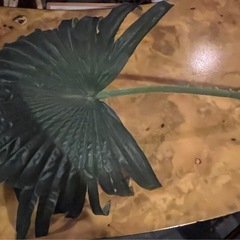 フェイクプラント　人工観葉植物　造花の画像