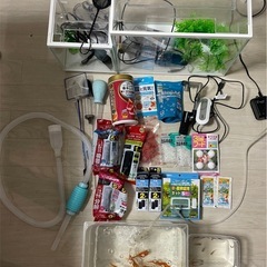 金魚と水槽セットの画像