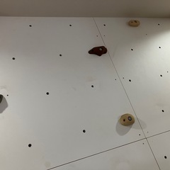 【値下げしました】クライミング用ウォール