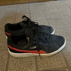 PUMA23.5です