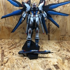 HGガンダムストライクフリーダム全塗装品の画像