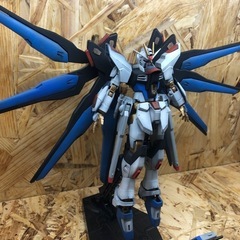HGガンダムストライクフリーダム全塗装品の画像
